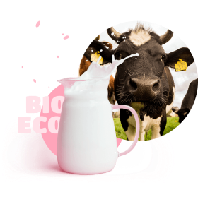 cow with a jug of milk
