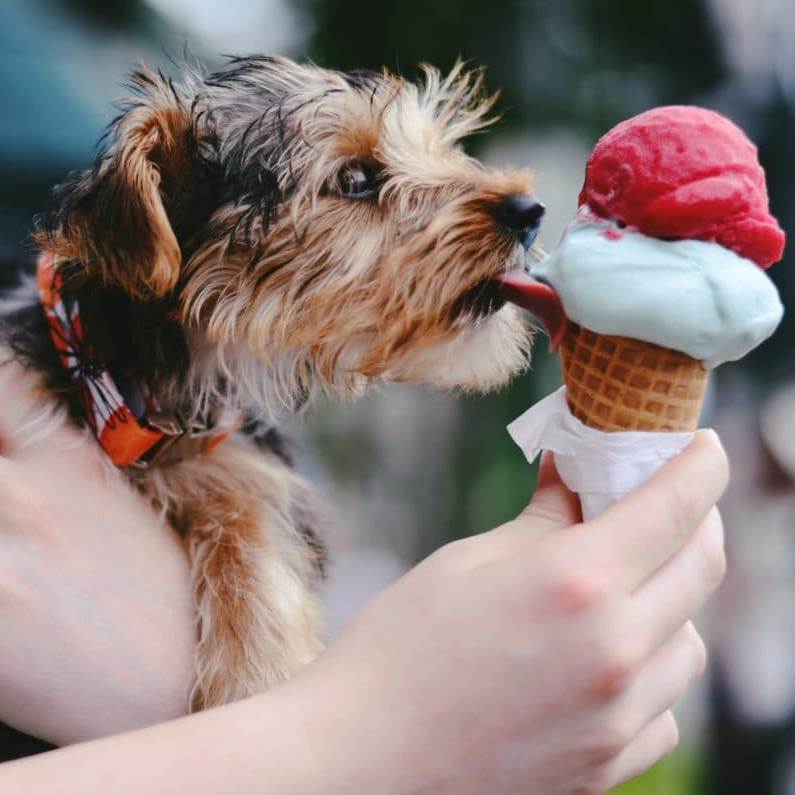 icecream